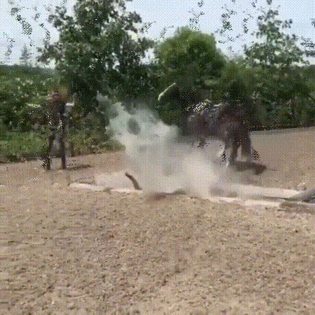 a股走势搞笑段子,一个a股段子手的年末总结