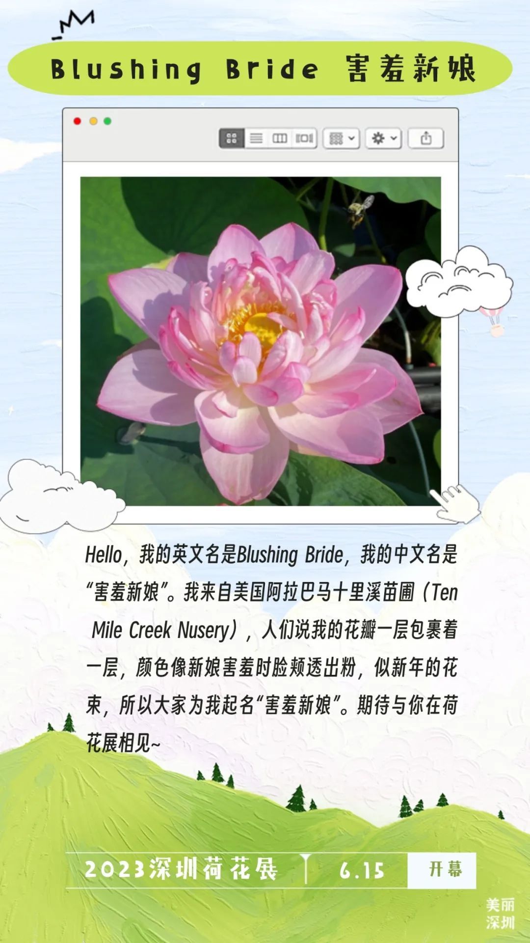 深圳人游玩推荐,深圳人爬山看海