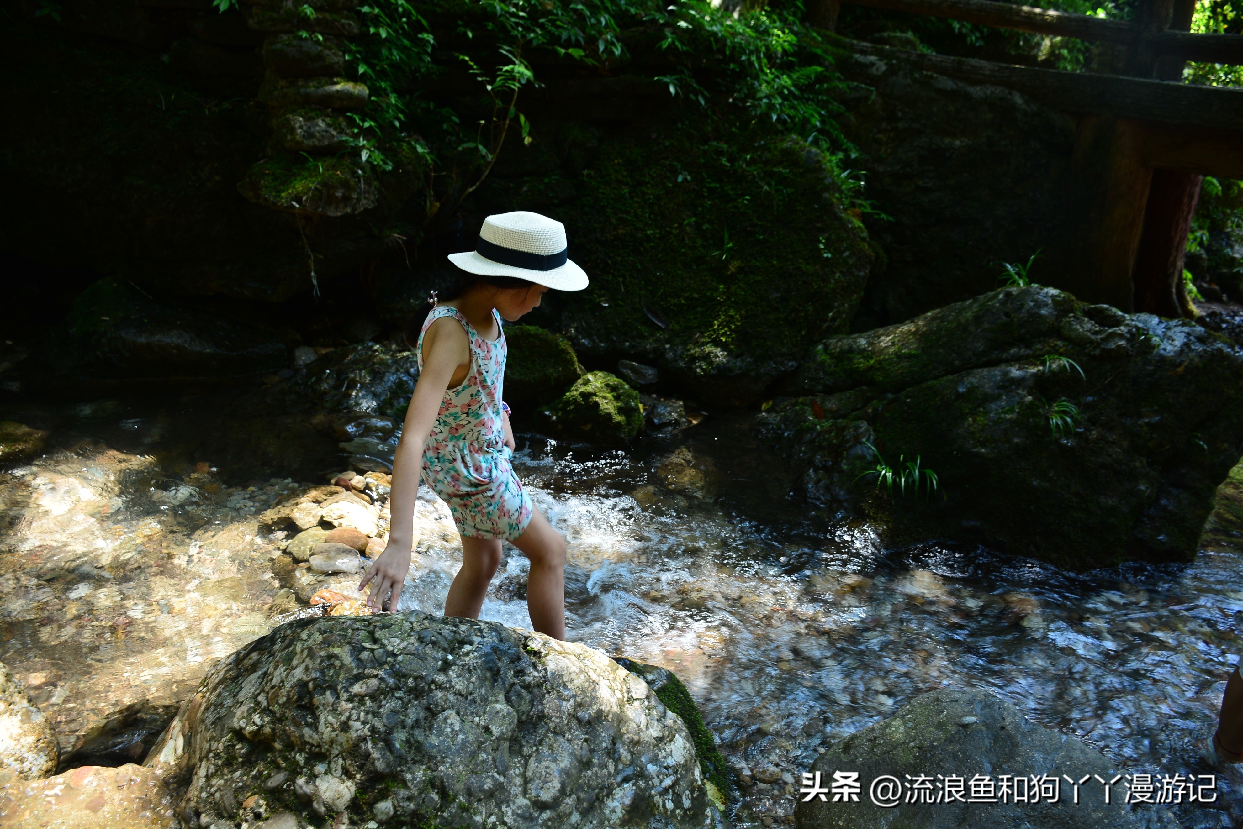 四月份成都近郊一日游好去处,2022成都近郊看雪一日游最佳去处