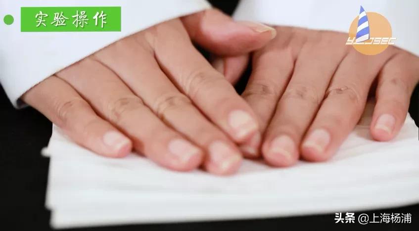 动手做一枚“叶脉书签”吧，好看又实用！【春节宅家手工】