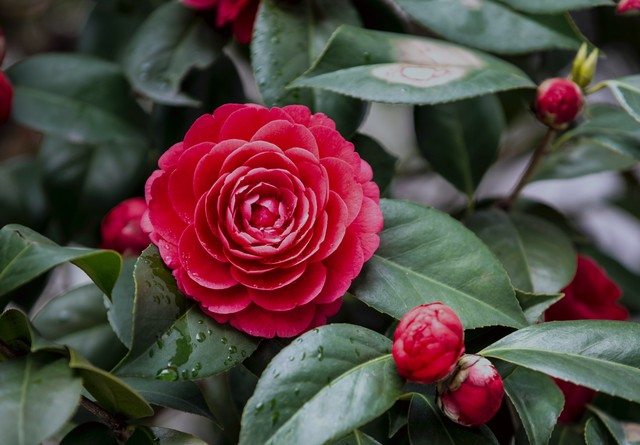 错过的人遇过的事都有他的意义,错过的人也是命中注定的吗