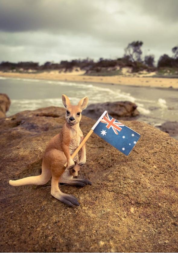 游客入境，多国已不设限！各国最新入境、签证及疫苗政策汇总