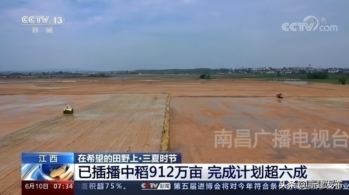 央视《朝闻天下》和《新闻直播间》关注新建区中稻栽播