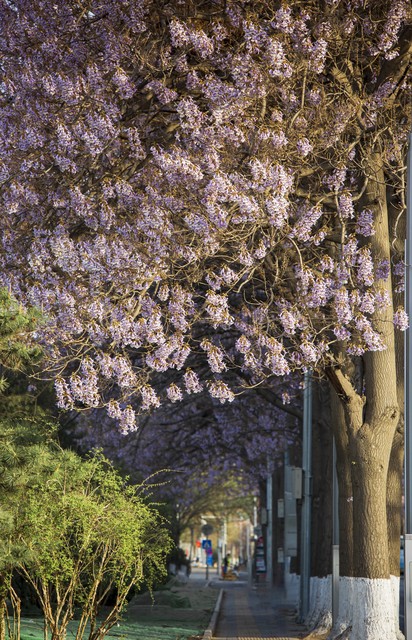 巷子里的故事随笔,写夏天巷子的随笔