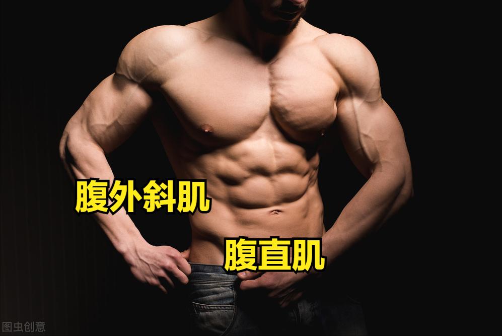 如何练出腹肌和马甲线有效方法,女生腹肌vs男生腹肌马甲线怎么练