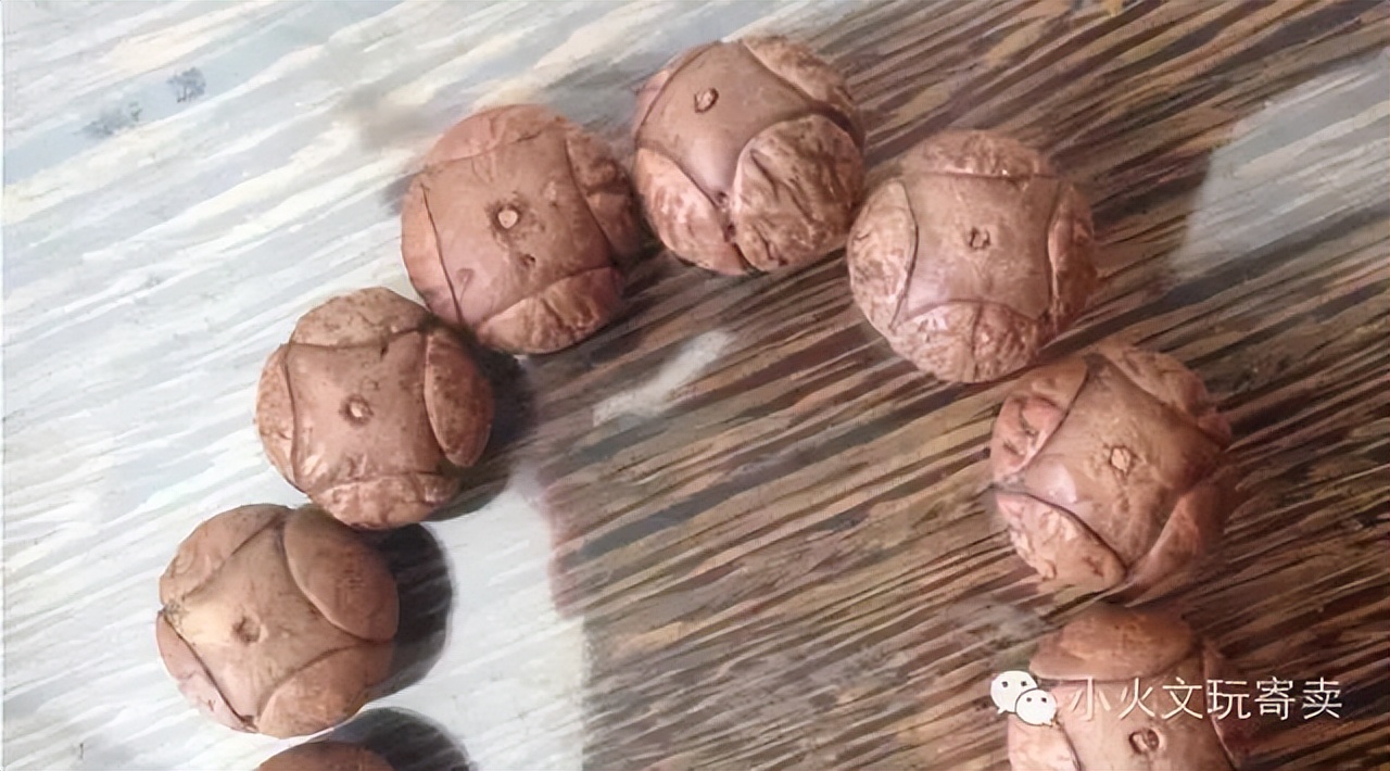 凤眼菩提2022,2023凤眼菩提