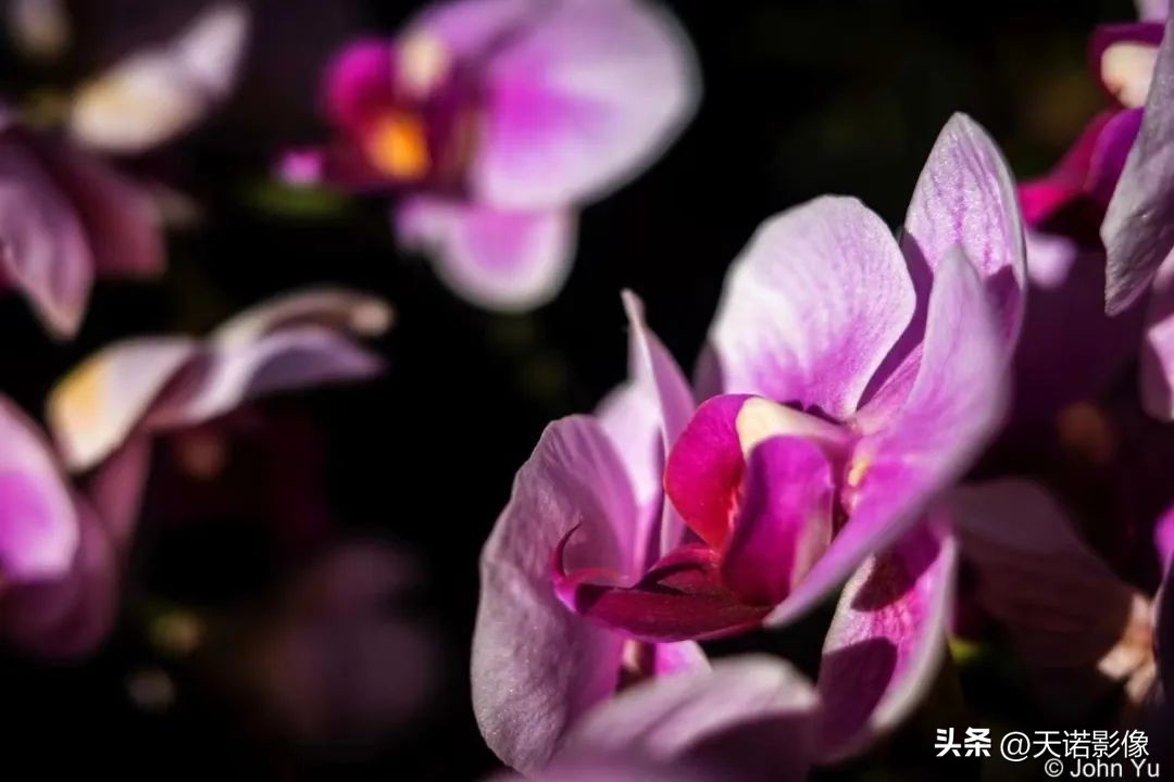 理光griiix怎么样,理光gr3x值不值得入手