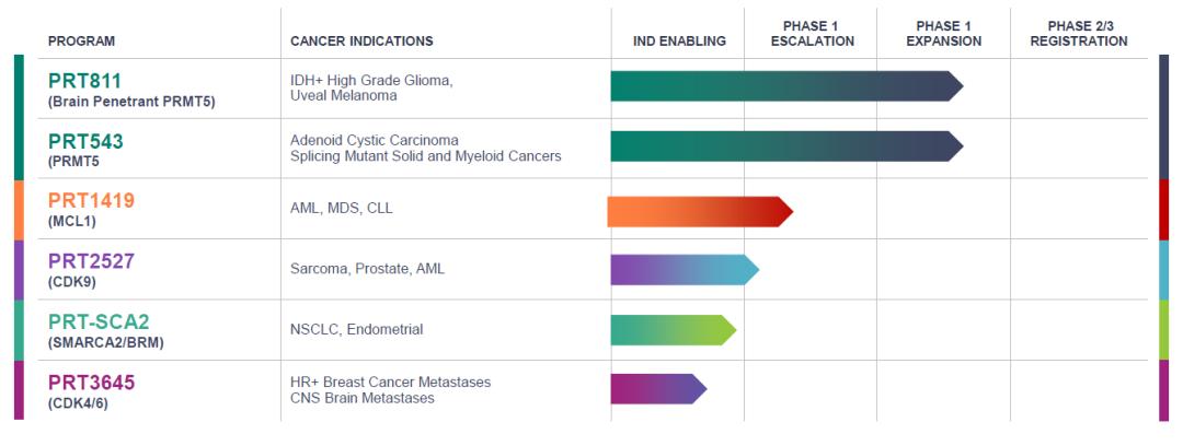 合成致死,合成致死作用机制