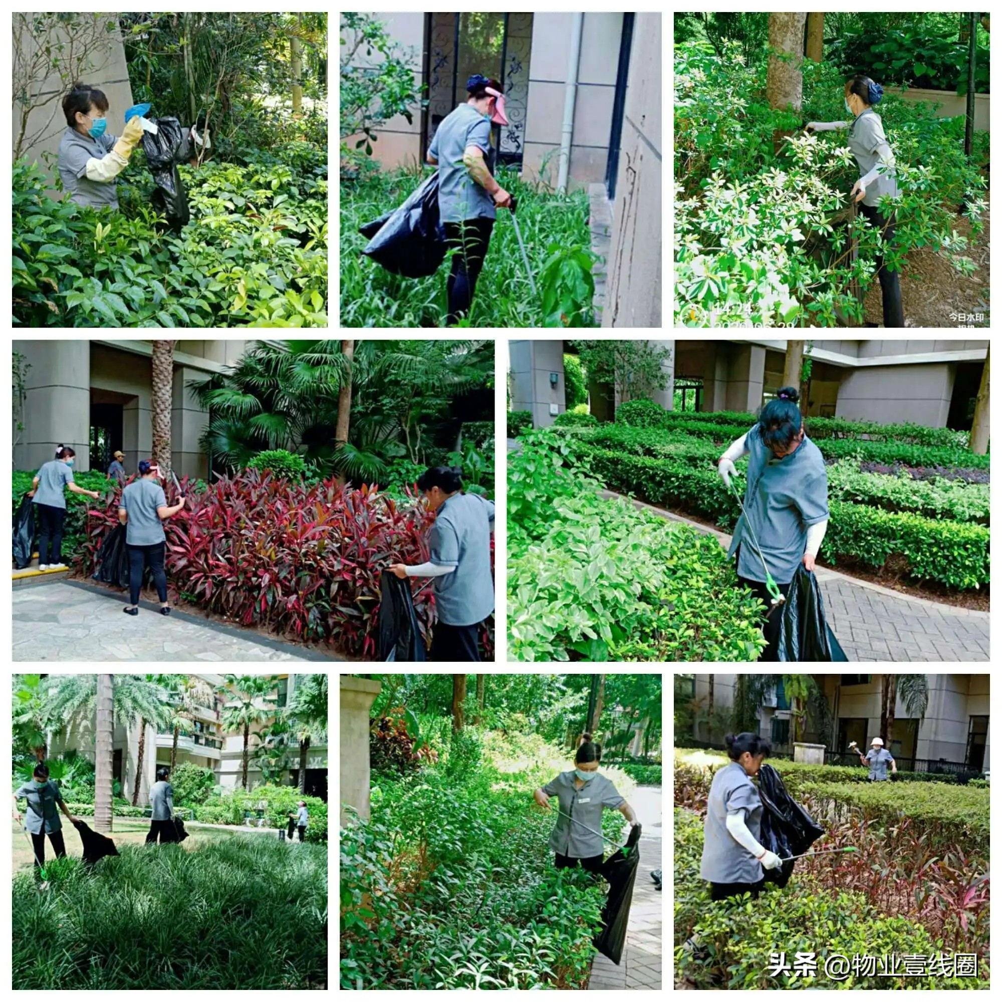 记录物业保洁绿化工作,物业公司保安保洁绿化