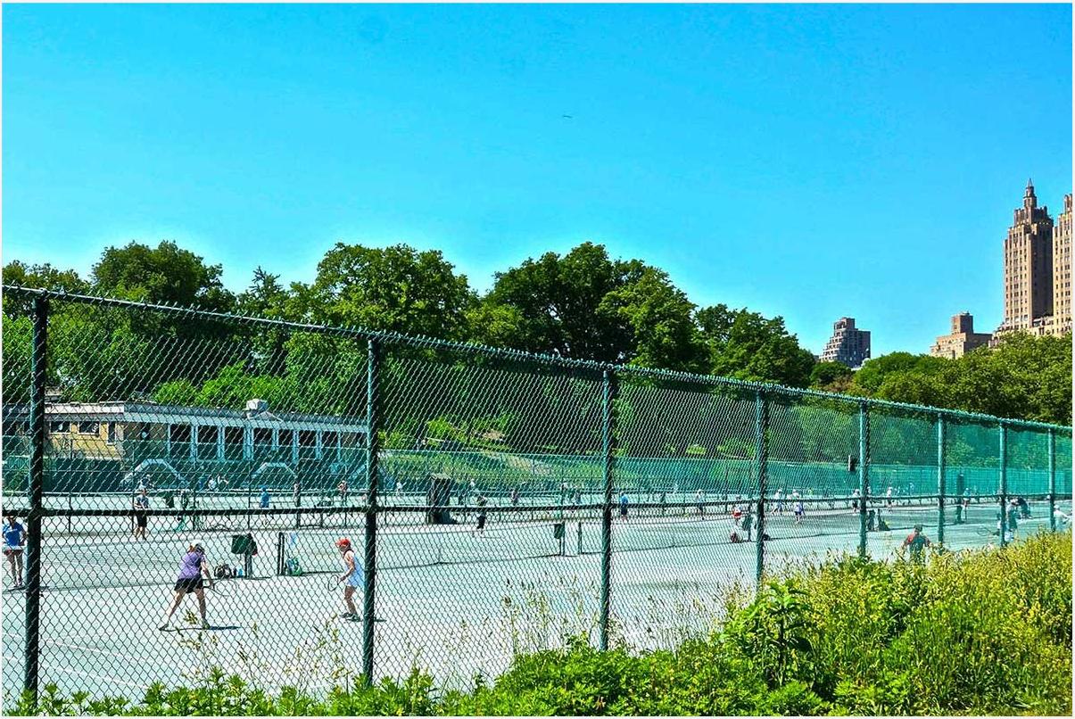 纽约公园中央公园,纽约中央公园的棒球场