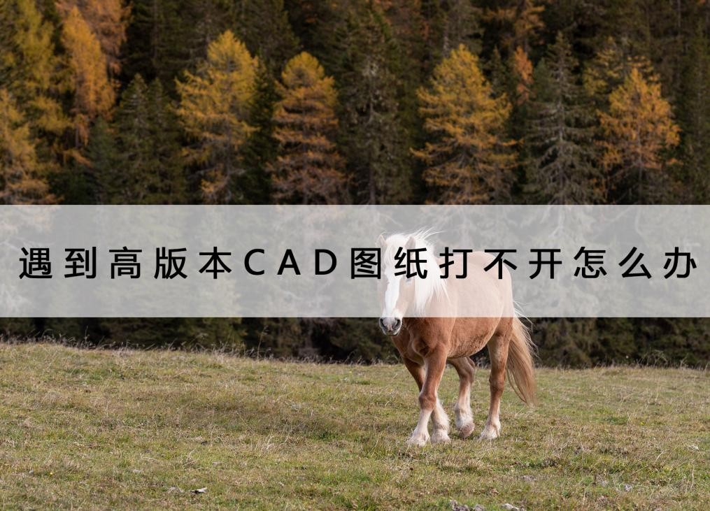 遇到高版本的CAD打不开怎么办,cad高版本打印图纸不显示填充图案