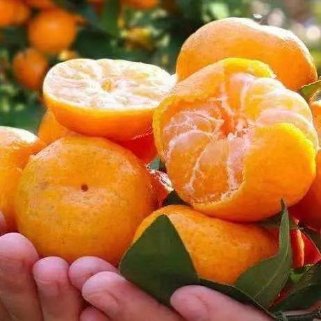 在广西，你永远不知道天上会掉下来什么