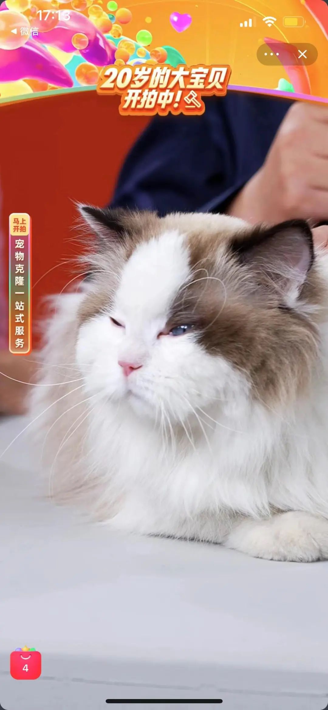 淘宝拍卖品,淘宝1元拍卖的物品是真的吗