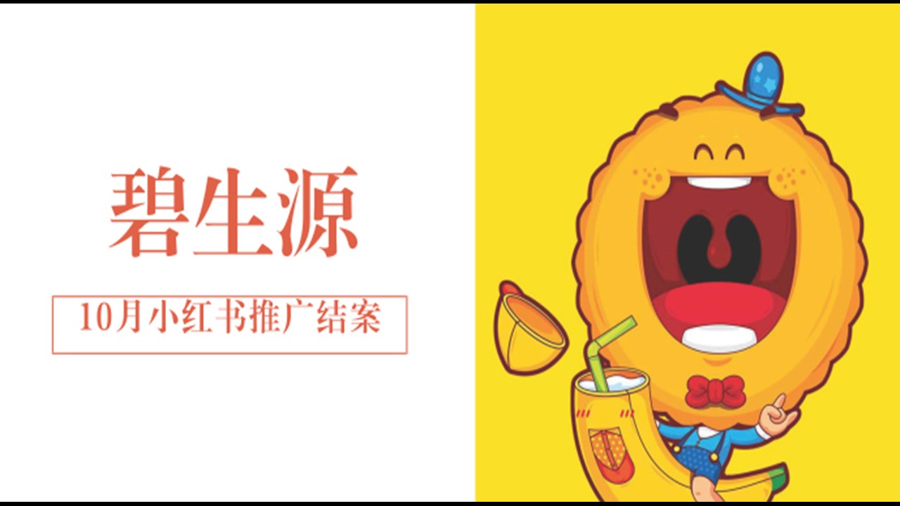 小红书市场营销策划书,小红书2023引流