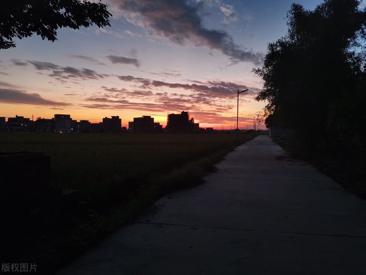 哥在东来妹在西,哥在东来妹在西歌词