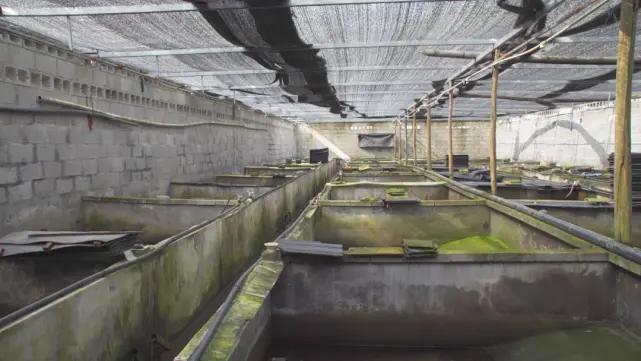 榫欐硥鐭宠洐鍏绘畺鍩哄湴,榫欐硥鐭宠洐