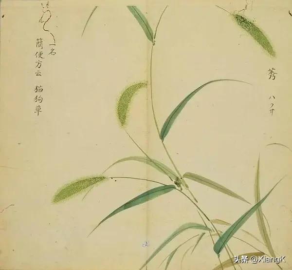 一天一词,一天一什么的成语