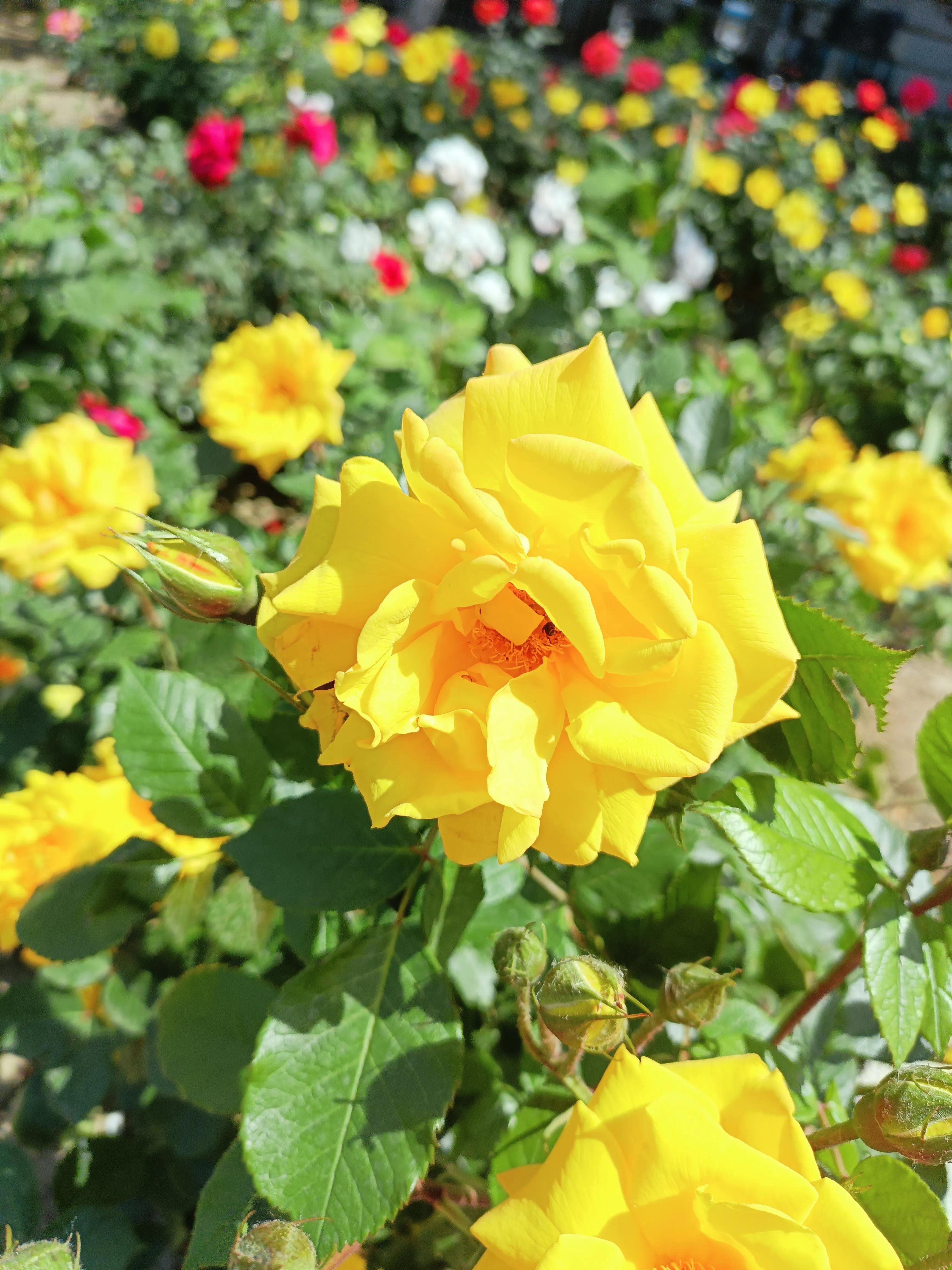 门前放铜钱应该说什么吉利话,宅西有路财神光顾有什么说法