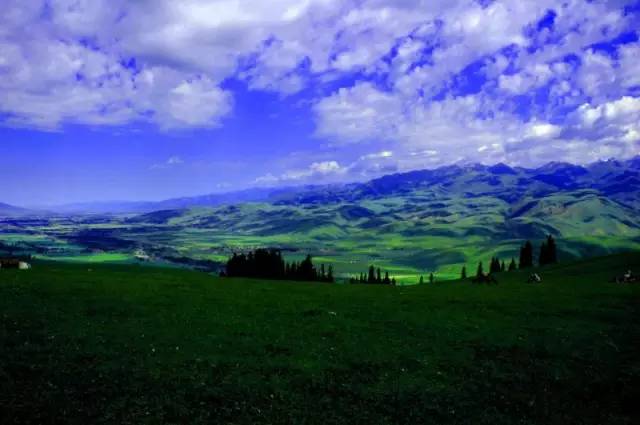 这条惊艳奇绝的公路,行走在天山脊梁上的最美景观公路