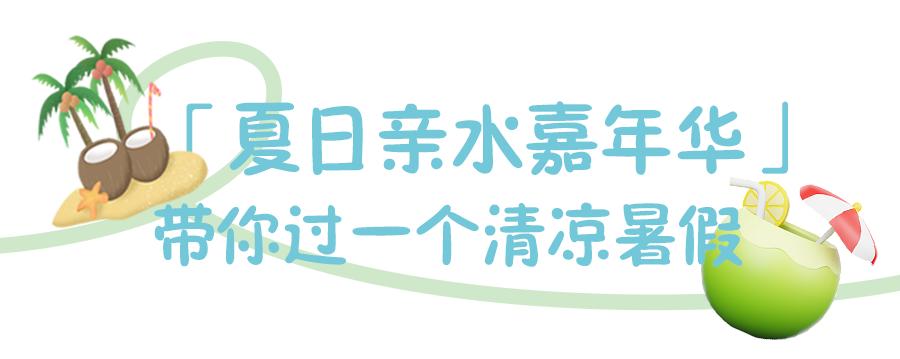 盛夏赴一场荷香之约,与夏天来场清凉的约会