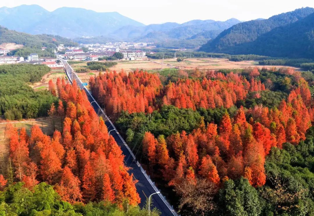 浙沪自驾游最佳路线图,浙皖一号公路自驾游