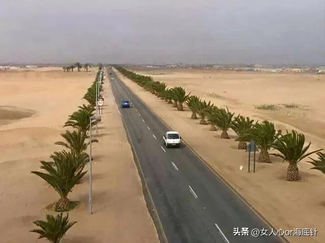 警花王菲案件最终结果,女警王菲哪一年入狱的