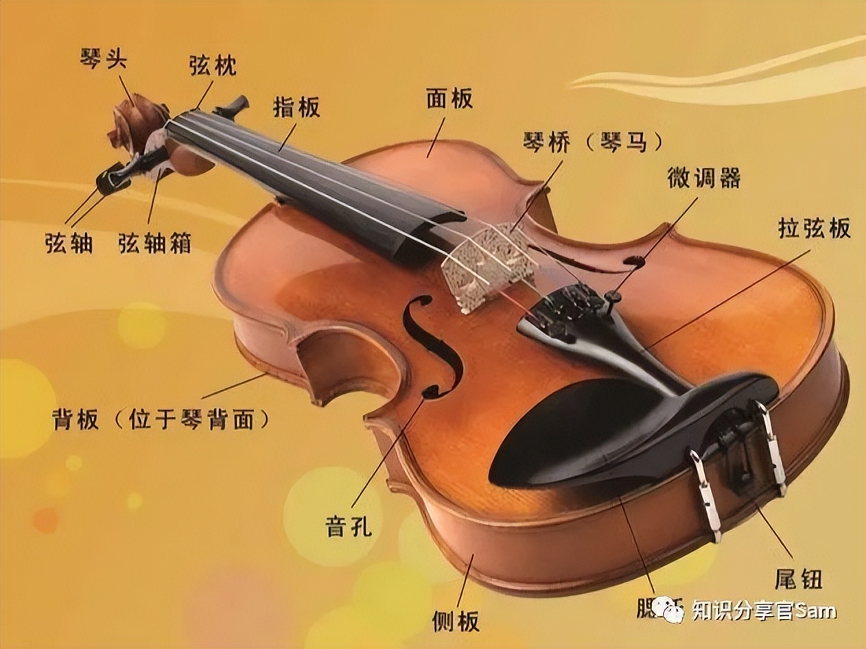 零音乐基础学哪种乐器比较简单,学音乐乐器的基础入门教程