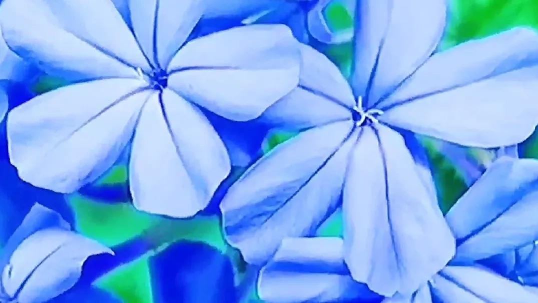 早起魔法之赶走瞌睡虫