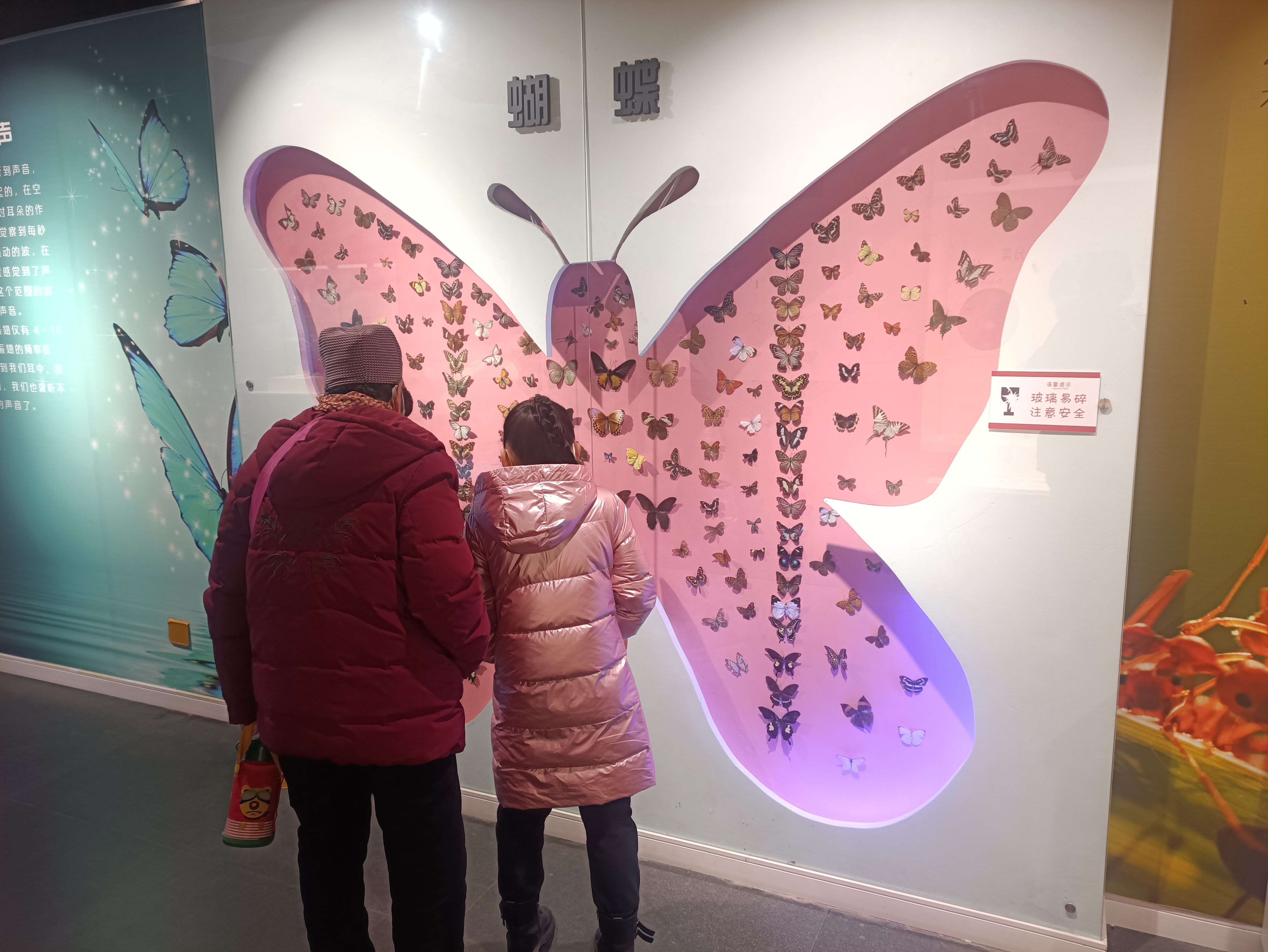 不负*光春**，来郑州人体科学院探寻生命进化证据