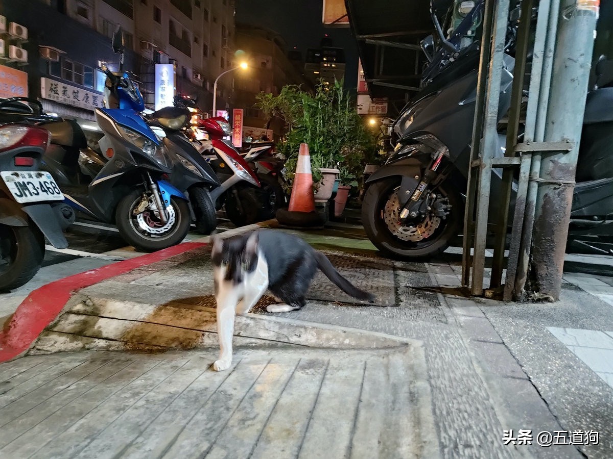 rogphone6,华硕rogphone