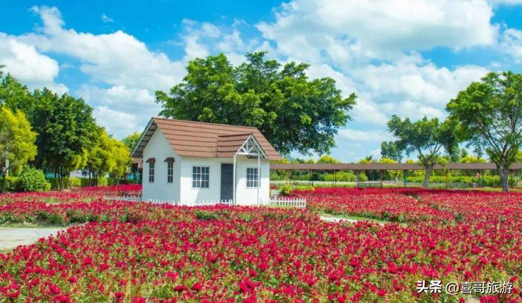 广州市花都区十大旅游景点排名,花都区出发自驾游2天去哪里好