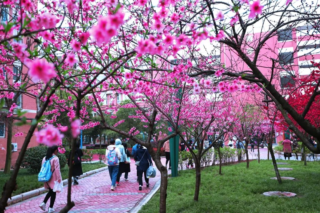 绵阳南实中学实验学校和南山双语,绵阳南山中学实验学校