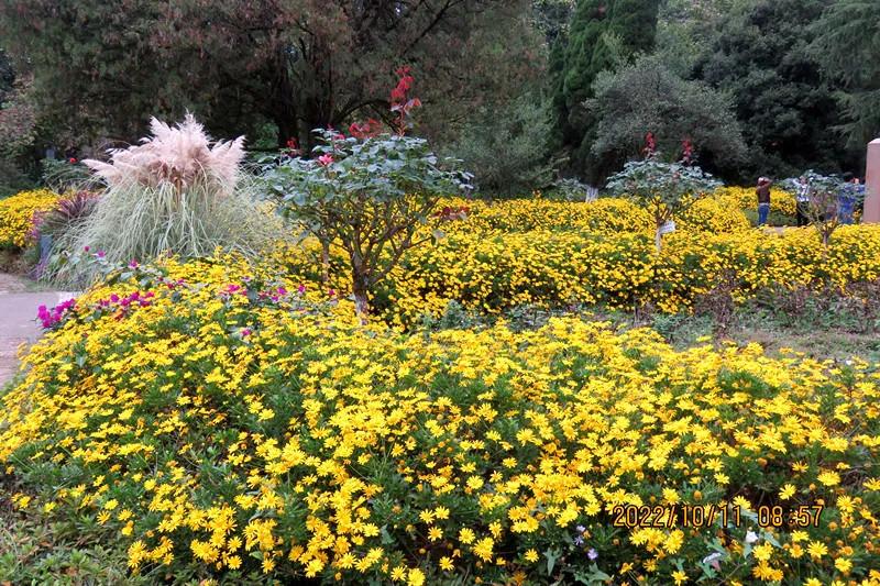 花溪小公园,美丽的花溪公园