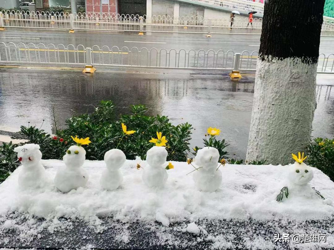 堆雪人大赛现场,楚雄花式雪人