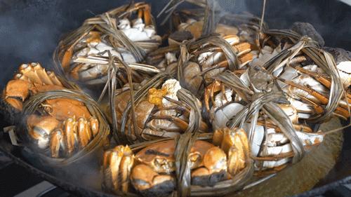 相约金秋“蟹”逅高淳|固城湖的“横行介士”来啦！