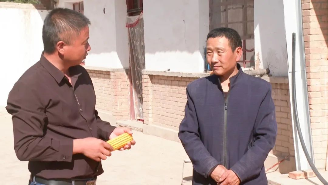 年收入过百万！带你解密高台这位“达人”的致富秘籍