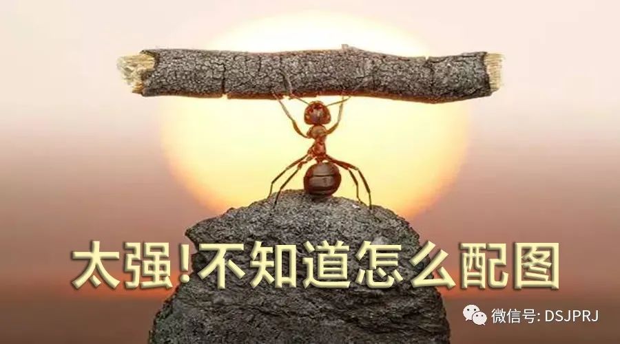 letsgo最新版本,letsgo原始版本