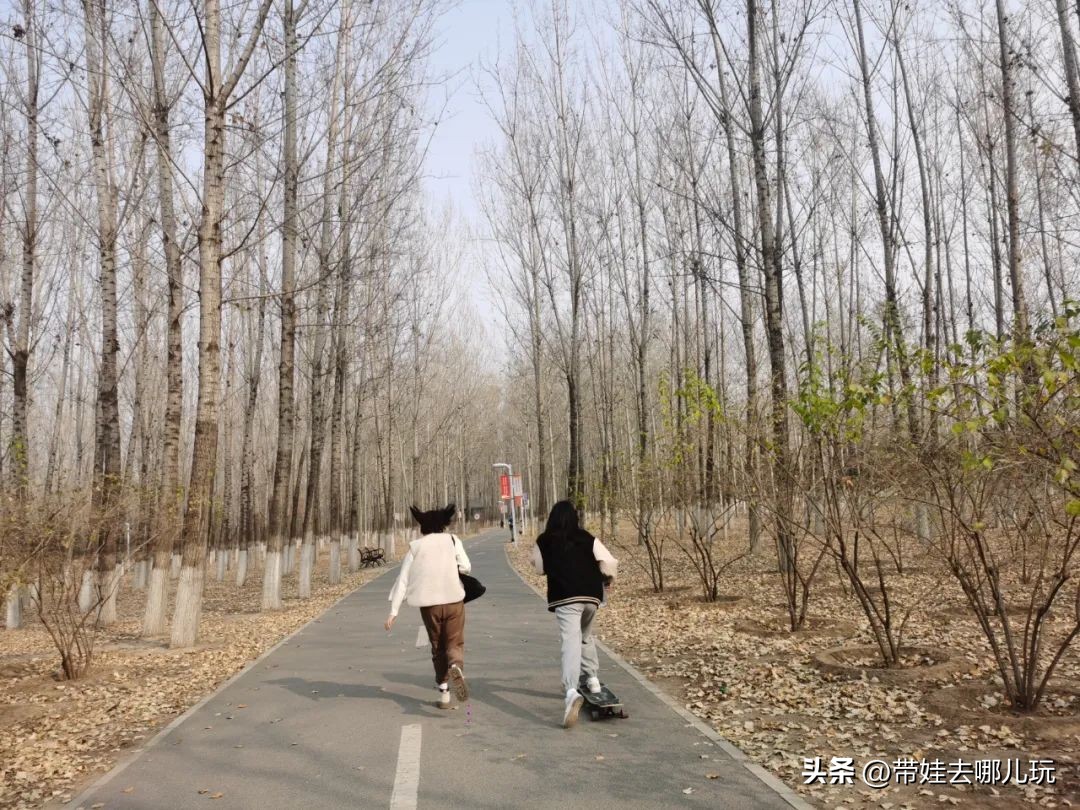 骑行国家森林公园,徒步骑行森林公园