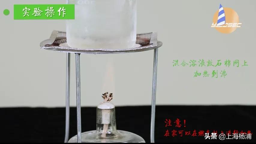 动手做一枚“叶脉书签”吧，好看又实用！【春节宅家手工】