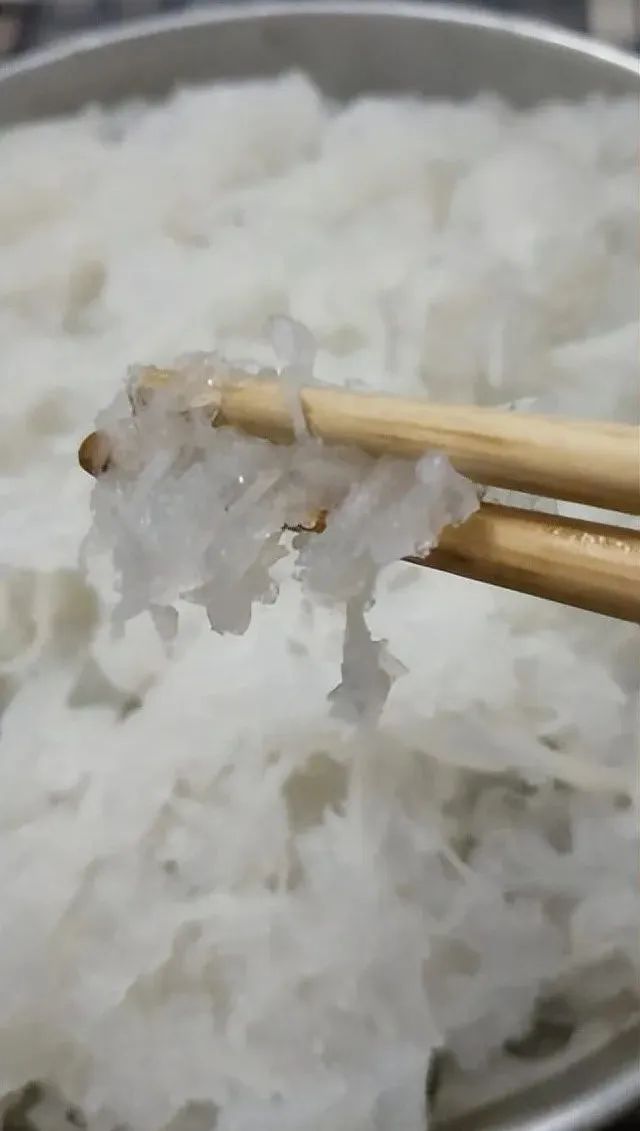 春赏牡丹花,春赏牡丹