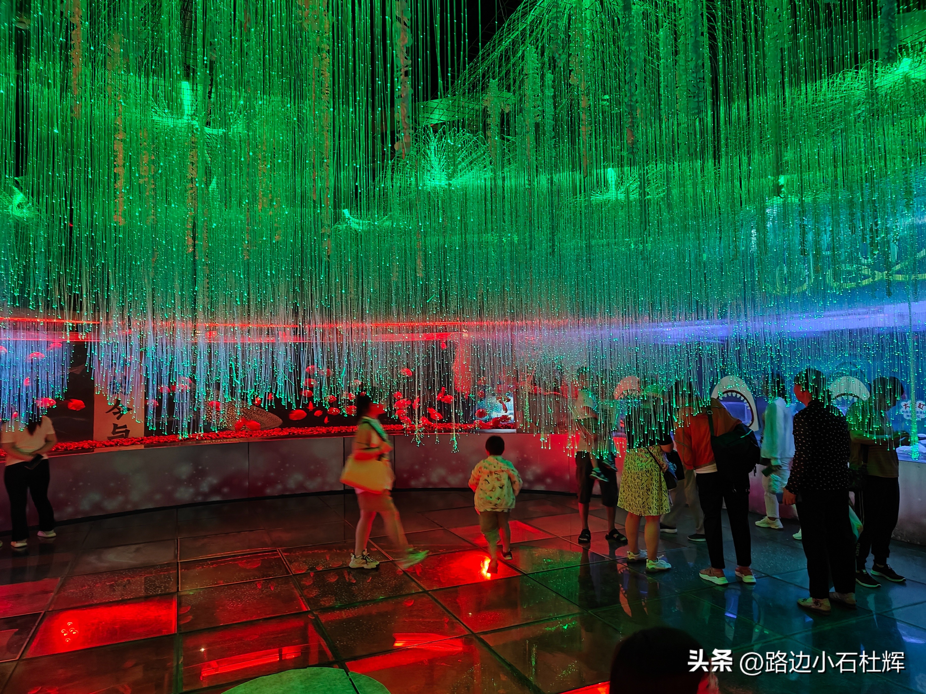 北京富国海底世界海洋水族馆,北京海洋馆和工体海洋世界