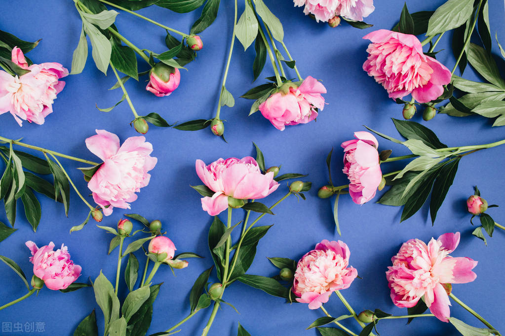 如果你被人瞧不起时怎么怼回去,如果你被别人讨厌了怎么办