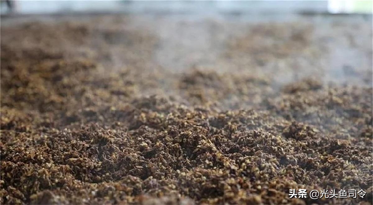 钓鲤鱼用哪种品牌窝料比较好,河里钓鲤鱼草鱼窝料配方制作方法