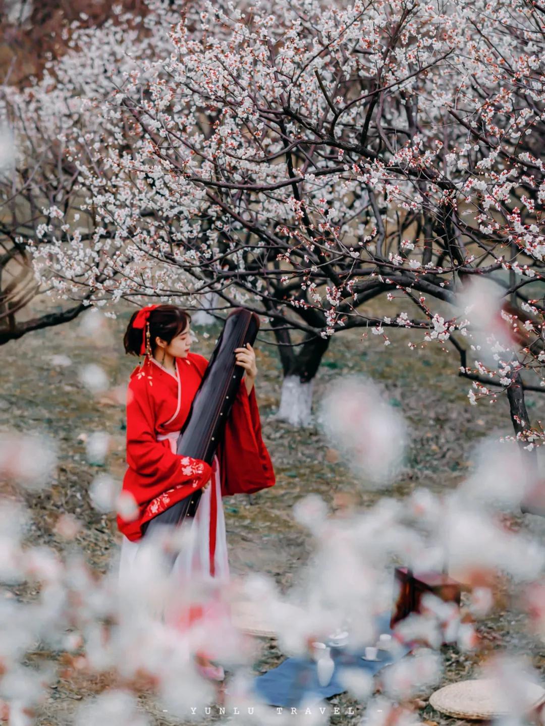 适合2月出行的12个旅行地，不负冬日的白雪和暖阳，准备好了吗？