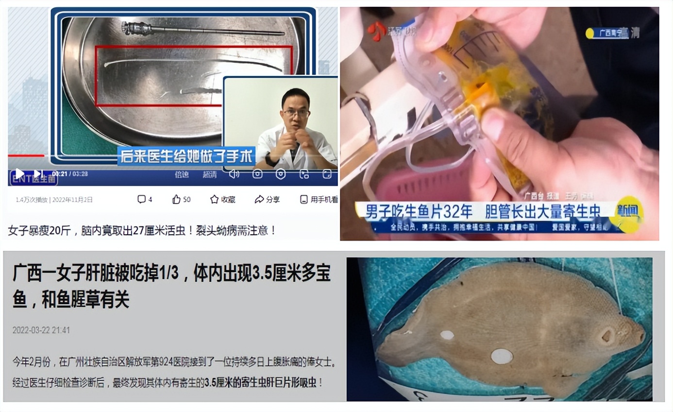 哪些寄生虫的感染阶段是虫卵,什么情况下会感染寄生虫