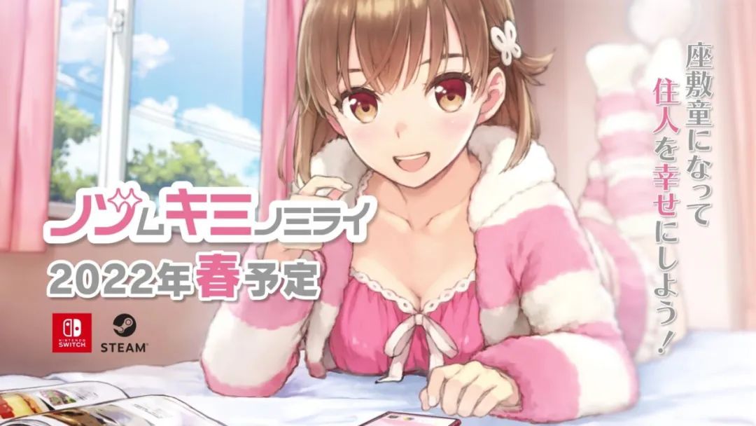 又有羞羞游戏将登陆NS！任天堂遭受自家员工指控