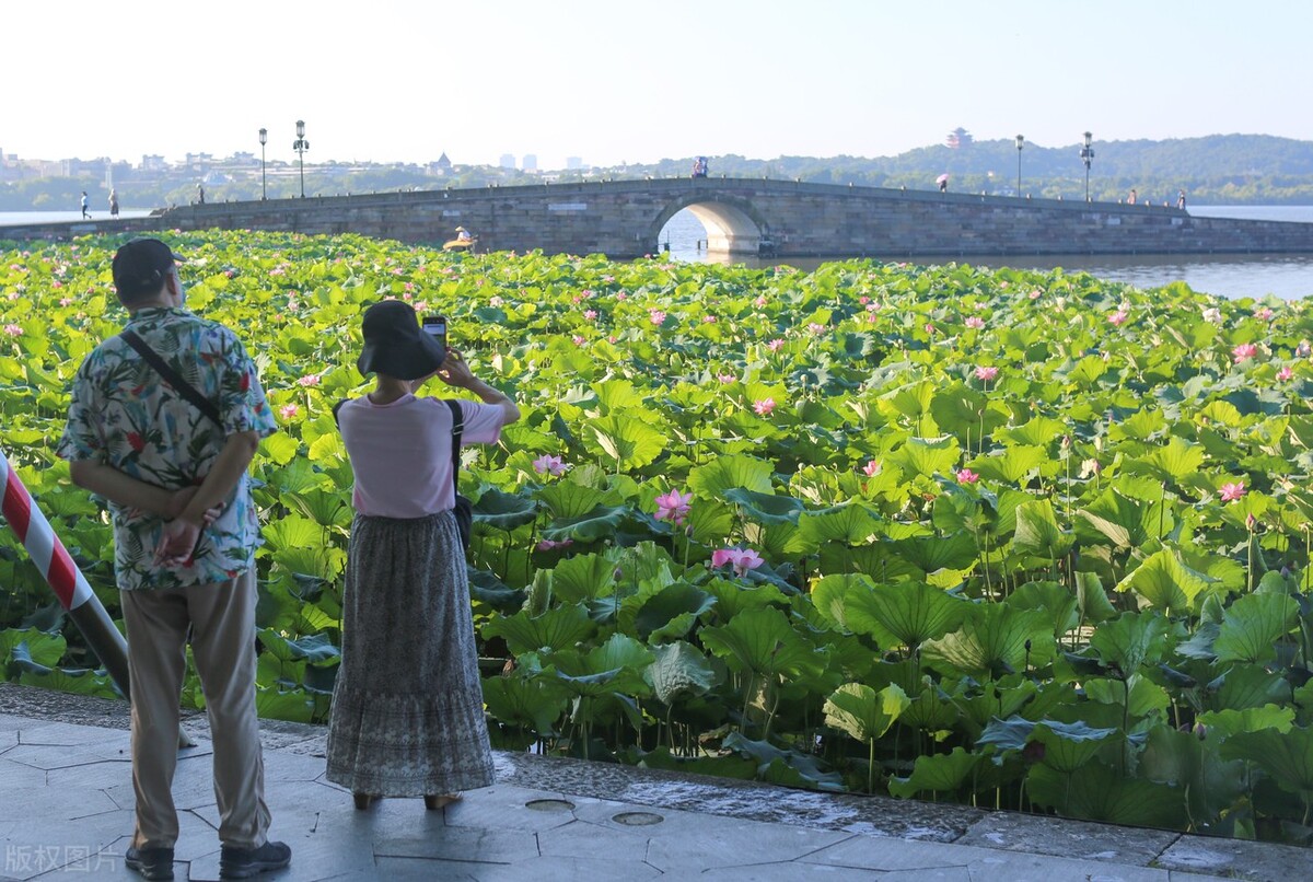 去西湖怎么玩最轻松,西湖1小时游玩攻略