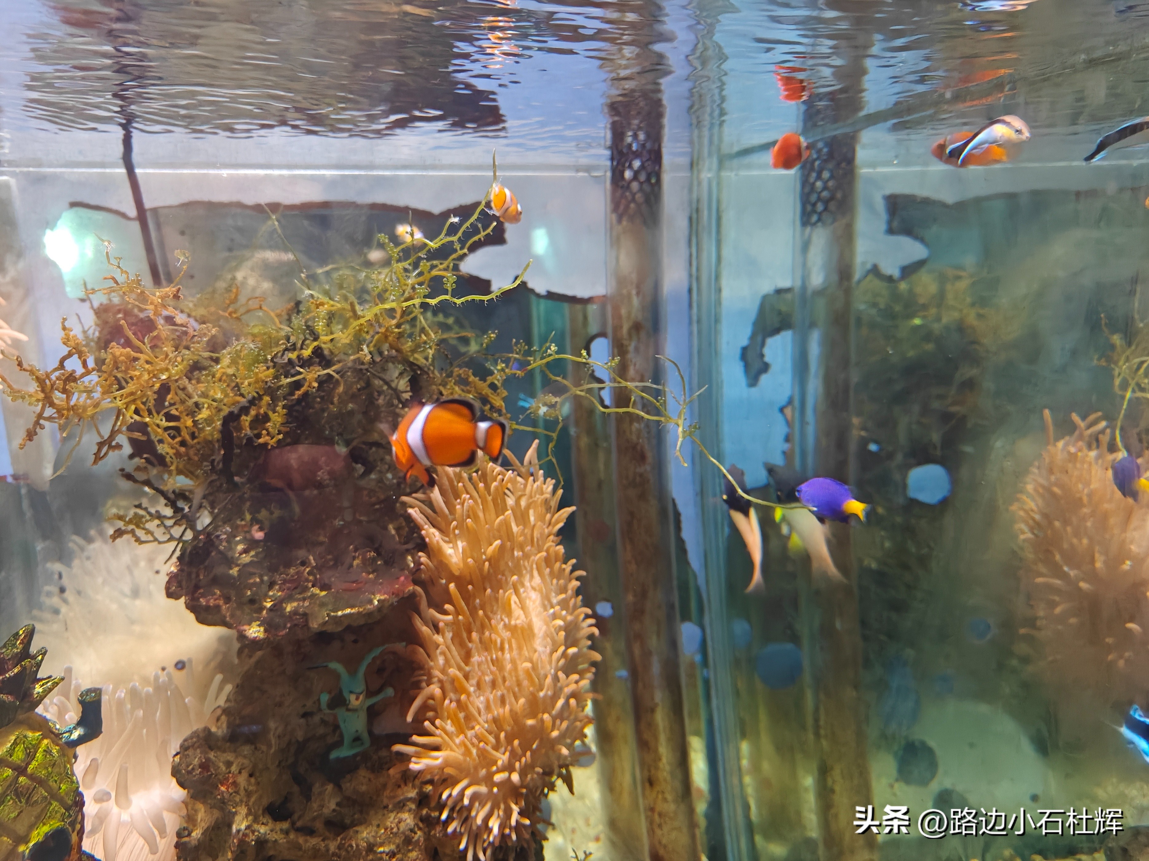 游游人间,游旅人间