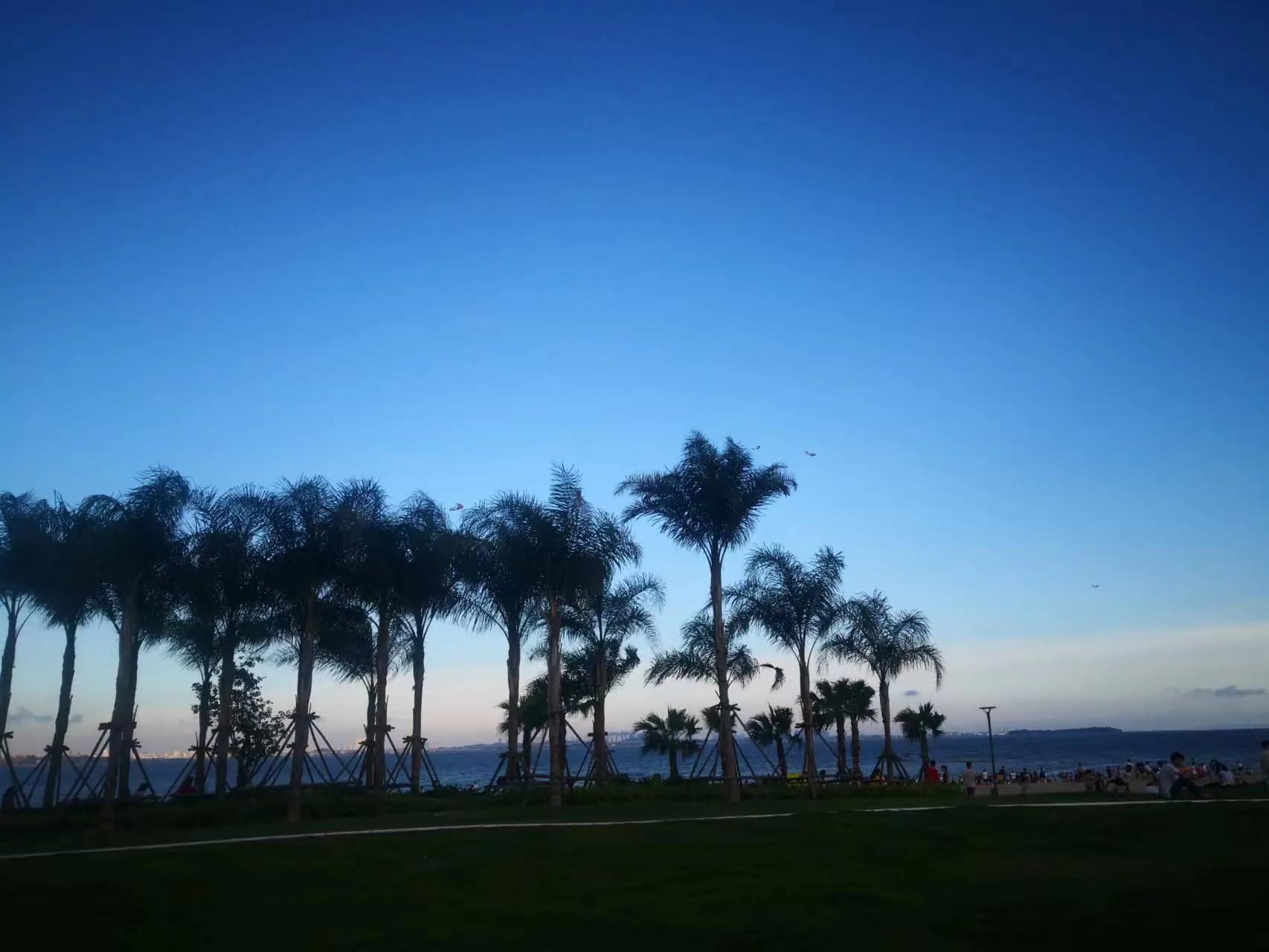 什么是亲密关系中的疏离感,什么是亲密度