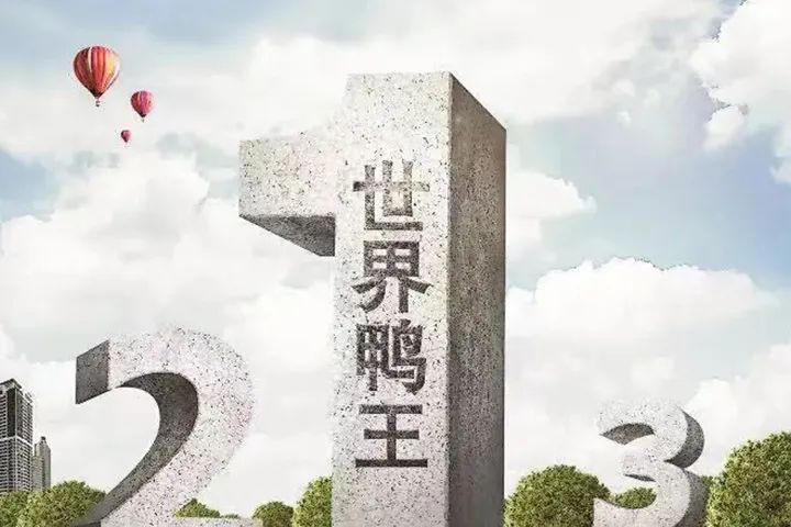 华英鸭业集团怎么重组的,华英公司重组最新消息